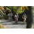 Team 35 / Raid l'Arbre Vert Amazones Bali - VTT