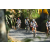 Team 17 / Raid l'Arbre Vert Amazones Bali - VTT