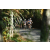 Team 40 / Raid l'Arbre Vert Amazones Bali - VTT
