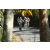 Team 52 / Raid l'Arbre Vert Amazones Bali - VTT
