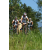 Team 13 / Raid l'Arbre Vert Amazones Bali - VTT