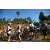 Team 24 / Raid l'Arbre Vert Amazones Bali - VTT