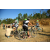 Team 14 / Raid l'Arbre Vert Amazones Bali - VTT
