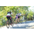 Team 15 / Raid l'Arbre Vert Amazones Bali - VTT