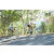 Team 01 / Raid l'Arbre Vert Amazones Bali - VTT