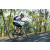 Team 42 / Raid l'Arbre Vert Amazones Bali - VTT