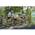 Team 63 / Raid l'Arbre Vert Amazones Bali - VTT