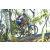 Team 66 / Raid l'Arbre Vert Amazones Bali - VTT