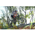 Team 66 / Raid l'Arbre Vert Amazones Bali - VTT