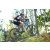 Team 66 / Raid l'Arbre Vert Amazones Bali - VTT