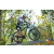 Team 29 / Raid l'Arbre Vert Amazones Bali - VTT