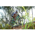 Team 29 / Raid l'Arbre Vert Amazones Bali - VTT