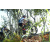 Team 38 / Raid l'Arbre Vert Amazones Bali - VTT