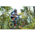 Team 38 / Raid l'Arbre Vert Amazones Bali - VTT