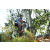 Team 38 / Raid l'Arbre Vert Amazones Bali - VTT