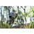 Team 38 / Raid l'Arbre Vert Amazones Bali - VTT