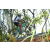 Team 71 / Raid l'Arbre Vert Amazones Bali - VTT