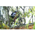 Team 71 / Raid l'Arbre Vert Amazones Bali - VTT