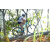 Team 71 / Raid l'Arbre Vert Amazones Bali - VTT
