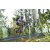 Team 45 / Raid l'Arbre Vert Amazones Bali - VTT