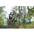 Team 08 / Raid l'Arbre Vert Amazones Bali - VTT
