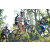 Team 45 / Raid l'Arbre Vert Amazones Bali - VTT