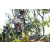 Team 46 / Raid l'Arbre Vert Amazones Bali - VTT