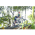 Team 08 / Raid l'Arbre Vert Amazones Bali - VTT