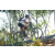 Team 54 / Raid l'Arbre Vert Amazones Bali - VTT