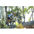Team 54 / Raid l'Arbre Vert Amazones Bali - VTT