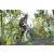 Team 54 / Raid l'Arbre Vert Amazones Bali - VTT