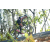 Team 54 / Raid l'Arbre Vert Amazones Bali - VTT