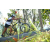 Team 09 / Raid l'Arbre Vert Amazones Bali - VTT