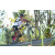 Team 70 / Raid l'Arbre Vert Amazones Bali - VTT