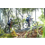 Team 20 / Raid l'Arbre Vert Amazones Bali - VTT