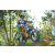 Team 32 / Raid l'Arbre Vert Amazones Bali - VTT