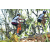 Team 17 / Raid l'Arbre Vert Amazones Bali - VTT