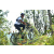 Team 35 / Raid l'Arbre Vert Amazones Bali - VTT