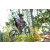 Team 35 / Raid l'Arbre Vert Amazones Bali - VTT