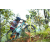 Team 17 / Raid l'Arbre Vert Amazones Bali - VTT