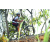 Team 17 / Raid l'Arbre Vert Amazones Bali - VTT