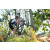 Team 40 / Raid l'Arbre Vert Amazones Bali - VTT