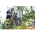 Team 39 / Raid l'Arbre Vert Amazones Bali - VTT