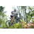 Team 40 / Raid l'Arbre Vert Amazones Bali - VTT
