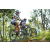 Team 41 / Raid l'Arbre Vert Amazones Bali - VTT
