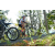 Team 22 / Raid l'Arbre Vert Amazones Bali - VTT