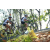 Team 22 / Raid l'Arbre Vert Amazones Bali - VTT