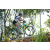 Team 52 / Raid l'Arbre Vert Amazones Bali - VTT