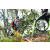 Team 41 / Raid l'Arbre Vert Amazones Bali - VTT