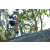 Team 40 / Raid l'Arbre Vert Amazones Bali - VTT